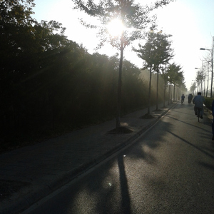 嗯～啊别揉我奶㊙️视频
